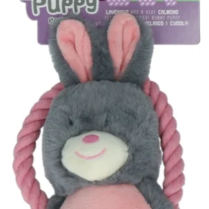 bunny funny